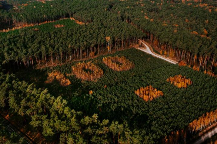 &#x22;100&#x22;&#x20;z&#x20;lotu&#x20;ptaka&#x2f;&#x20;Seweryn&#x20;Bożek&#x20;&#x22;Wędrówki&#x20;po&#x20;&#x20;bezdrożach&#x22;