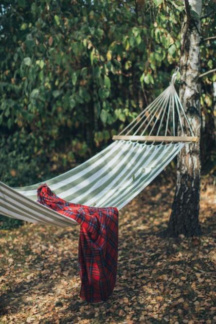 Zanocuj w lesie (Fot.pexels.com)